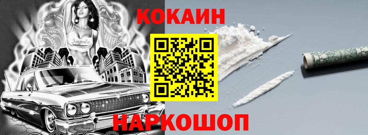 COCAIN Fish Scale  Вход с VPN  Алушта 