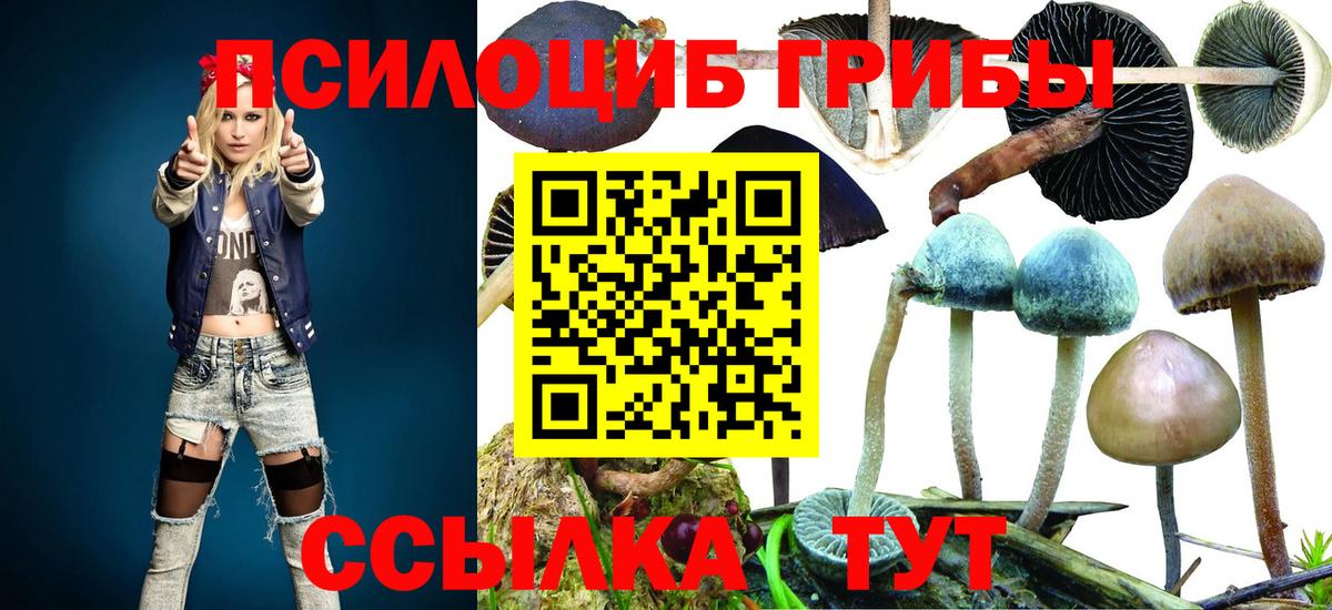 Алушта  Псилоцибиновые грибы MAGIC MUSHROOMS  Вход с VPN 