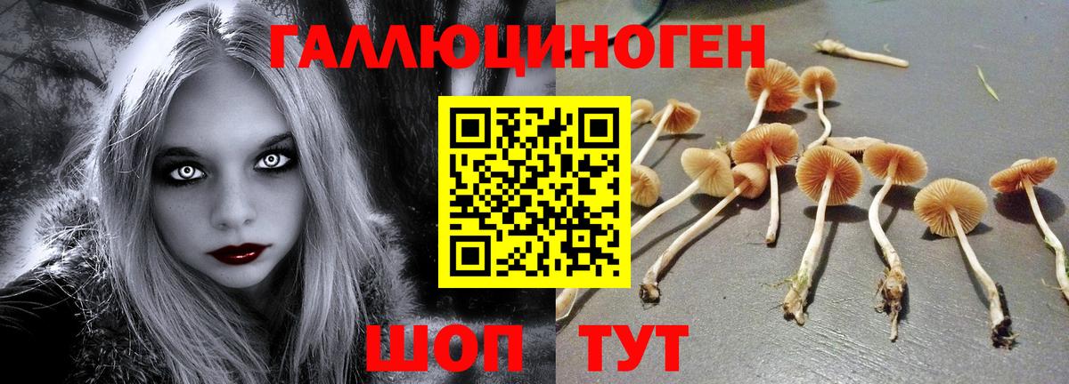 Галлюциногенные грибы Cubensis Алушта